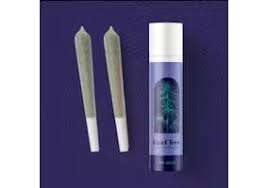 Photograph of product: Guava Cream Cake - Prerolls - 2pk/1g (.5g each)