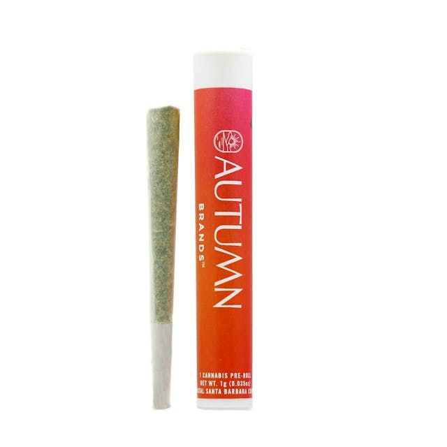 Photograph of product: Slapz 1g Preroll - 