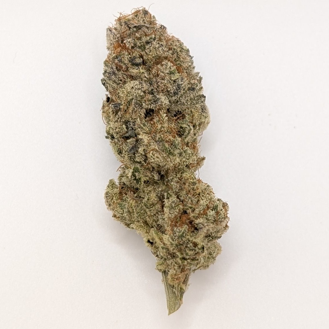 Photograph of product: Orange Bud 2.0 3.5g