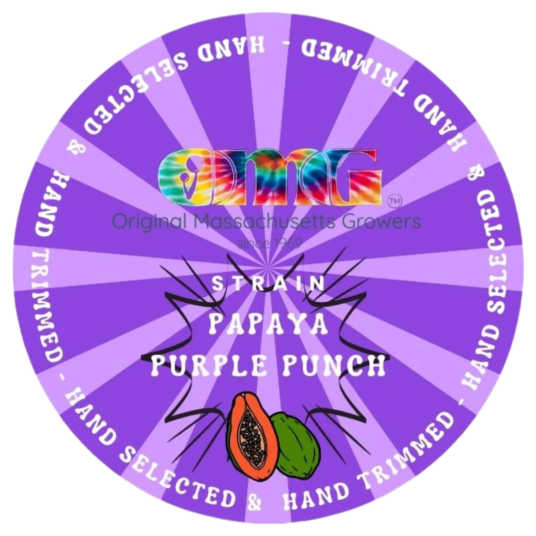 Photograph of product: Disposable Live Rosin | Papaya Purple Punch | 0.5g