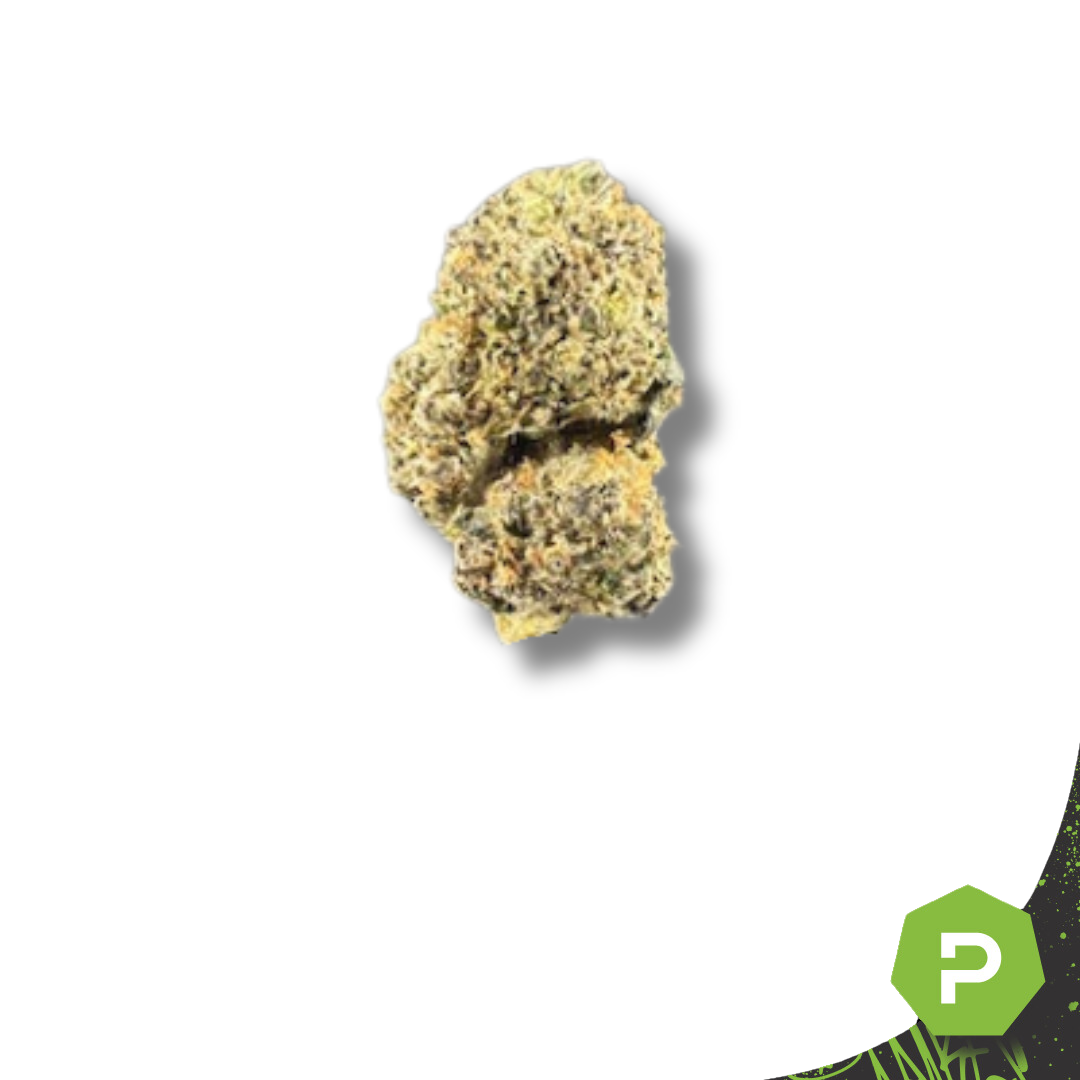Photograph of product: Gus's Real Exotics | Zoot RollUps - 28g