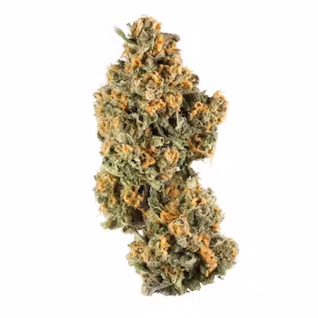 Photograph of product: Elysium | LA Pop Rocks | Flower | Bulk/Deli - 14g