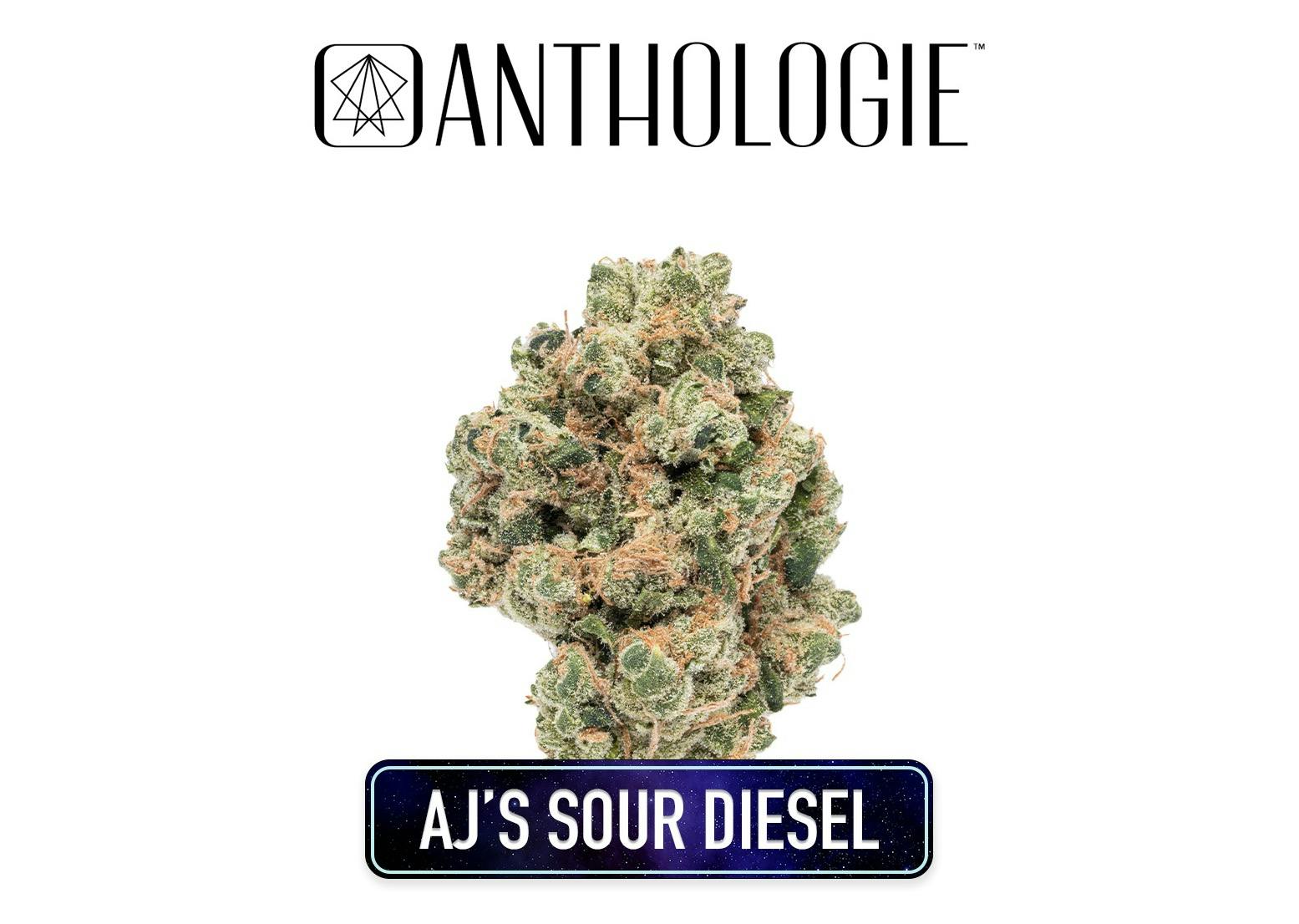 Photograph of product: Anthologie - AJs Sour Diesel 3.5g Flower