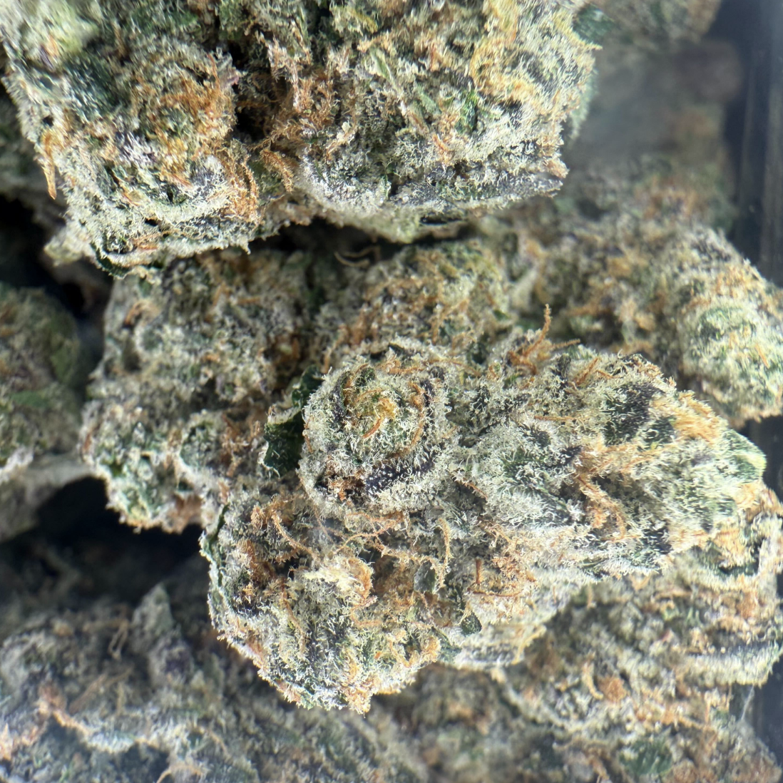 Photograph of product: Dirty Little Secret #9 by Otis