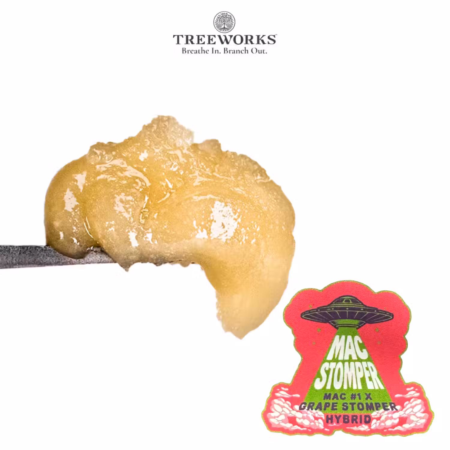 Photograph of product: Mac Stomper | Live au chocolat Rosin Jam | 1g | by Treeworks