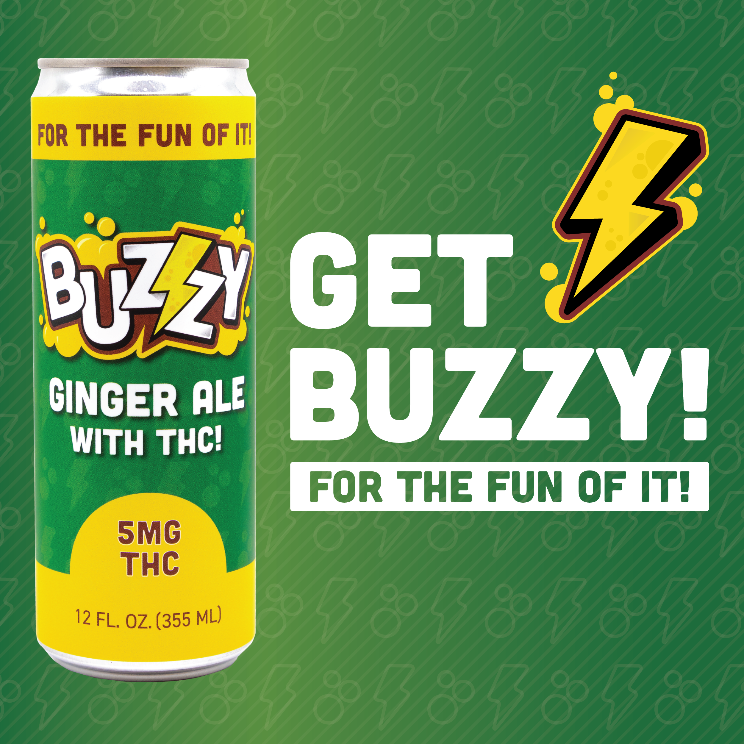 Photograph of product: Ginger Ale Soda | 1pk