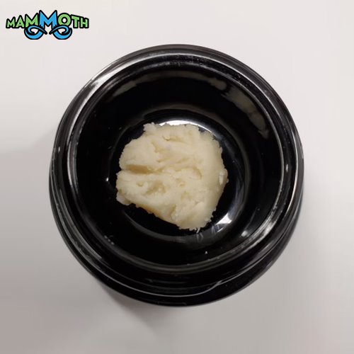 Photograph of product: White Rainbow | 90 Batter | 1g