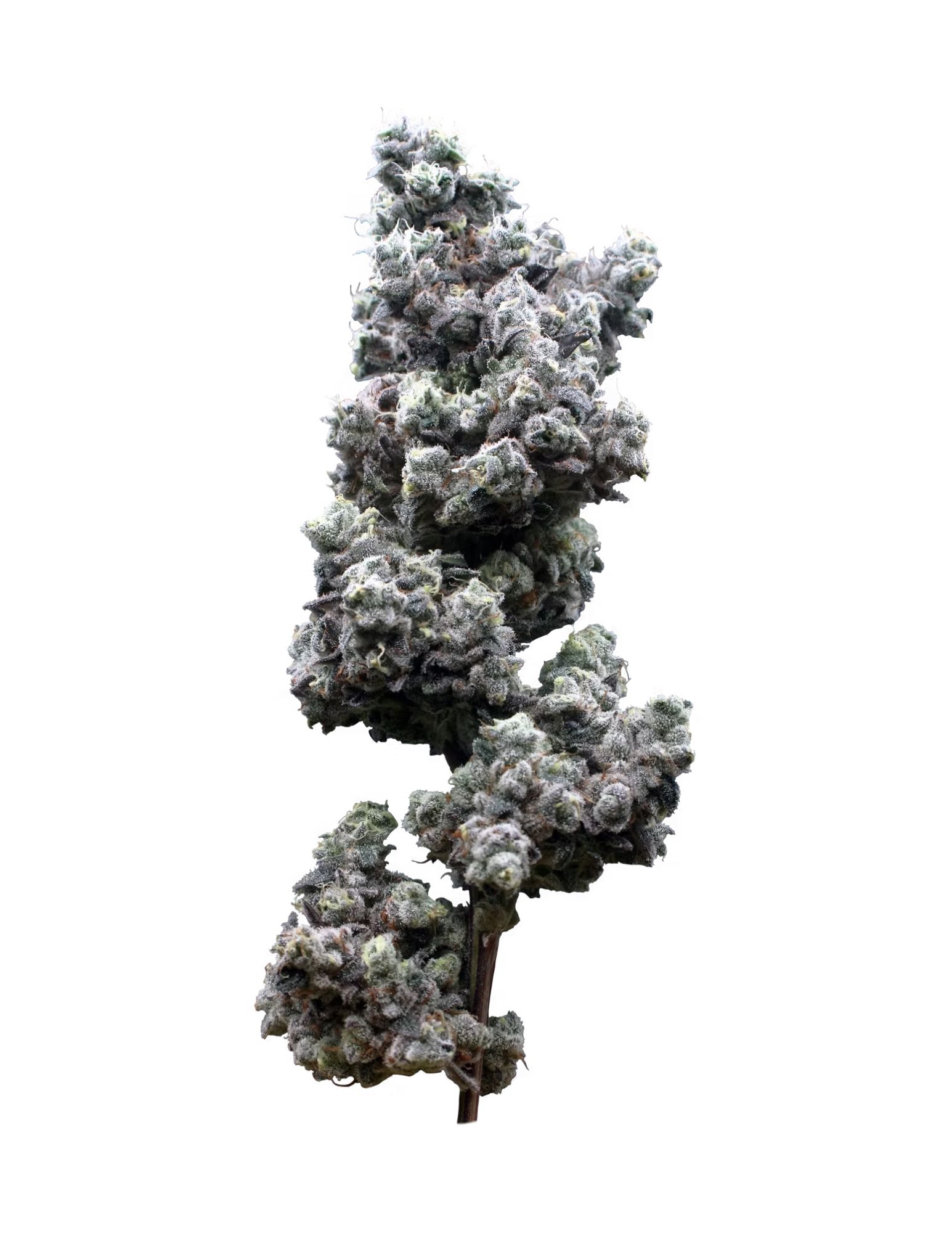 Photograph of product: MAC Stomper | - 28g