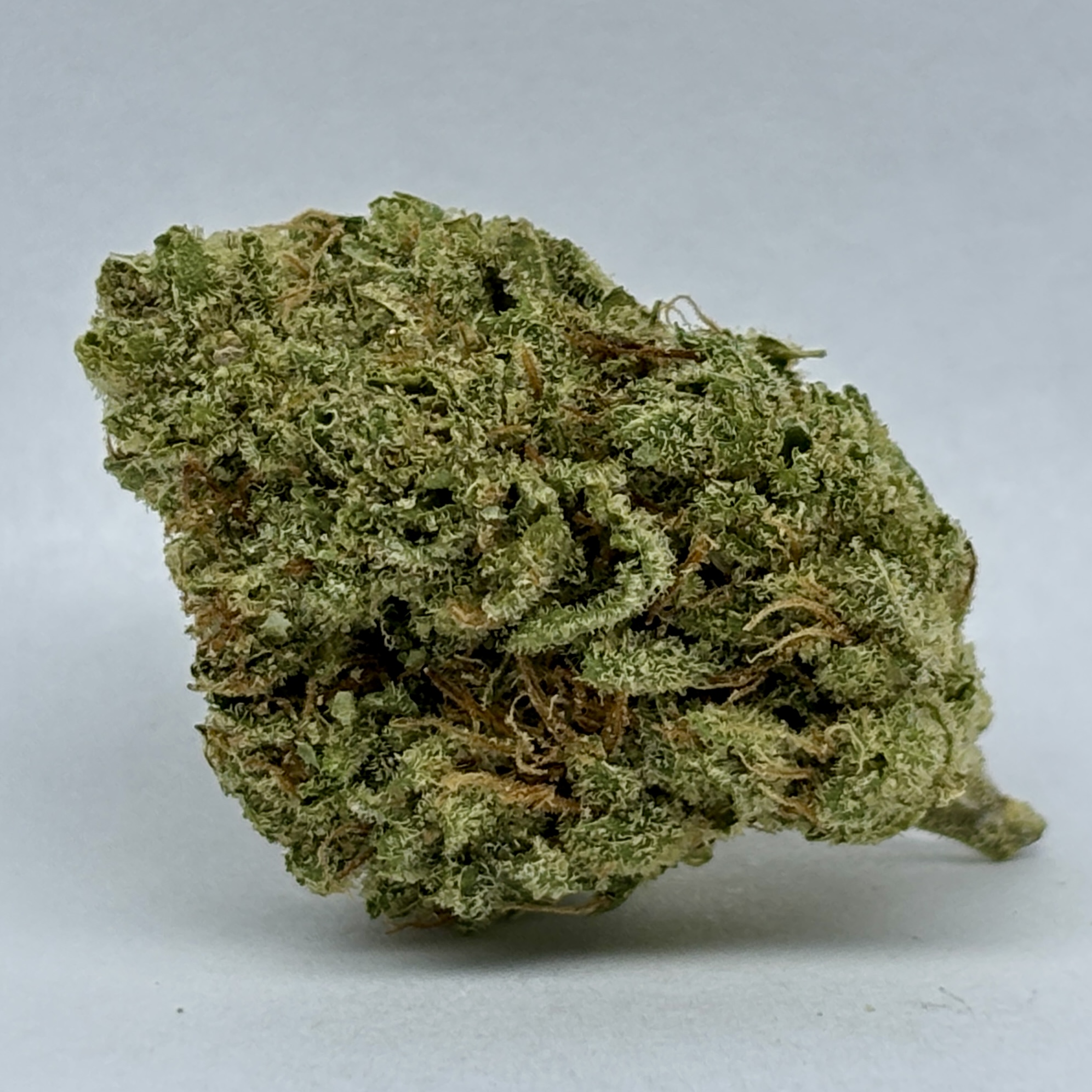 Photograph of product: Kosher-Flower-|Oui'd-Dominant|HRBD - 3.5g