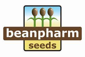 Photograph of product: Bean Pharm - Durban Poison Seeds (S) ($77)