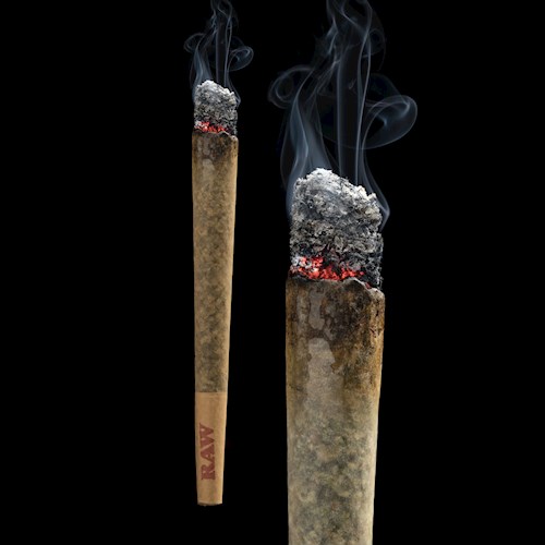 Photograph of product: Wedding Cake [DOH] 1pk - by Lifted