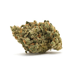Photograph of product: $4 1g - Wedding punch - Truforia