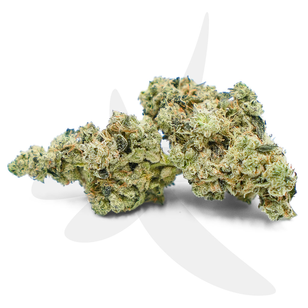 Photograph of product: Legendary Fatso | D&D Classic Ounce - 28g