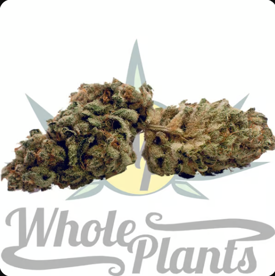 Photograph of product: Too Cool Whole Flower 3.5g