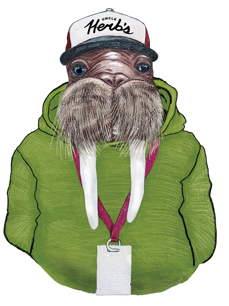 Photograph of product: UH Character Pin - Walrus