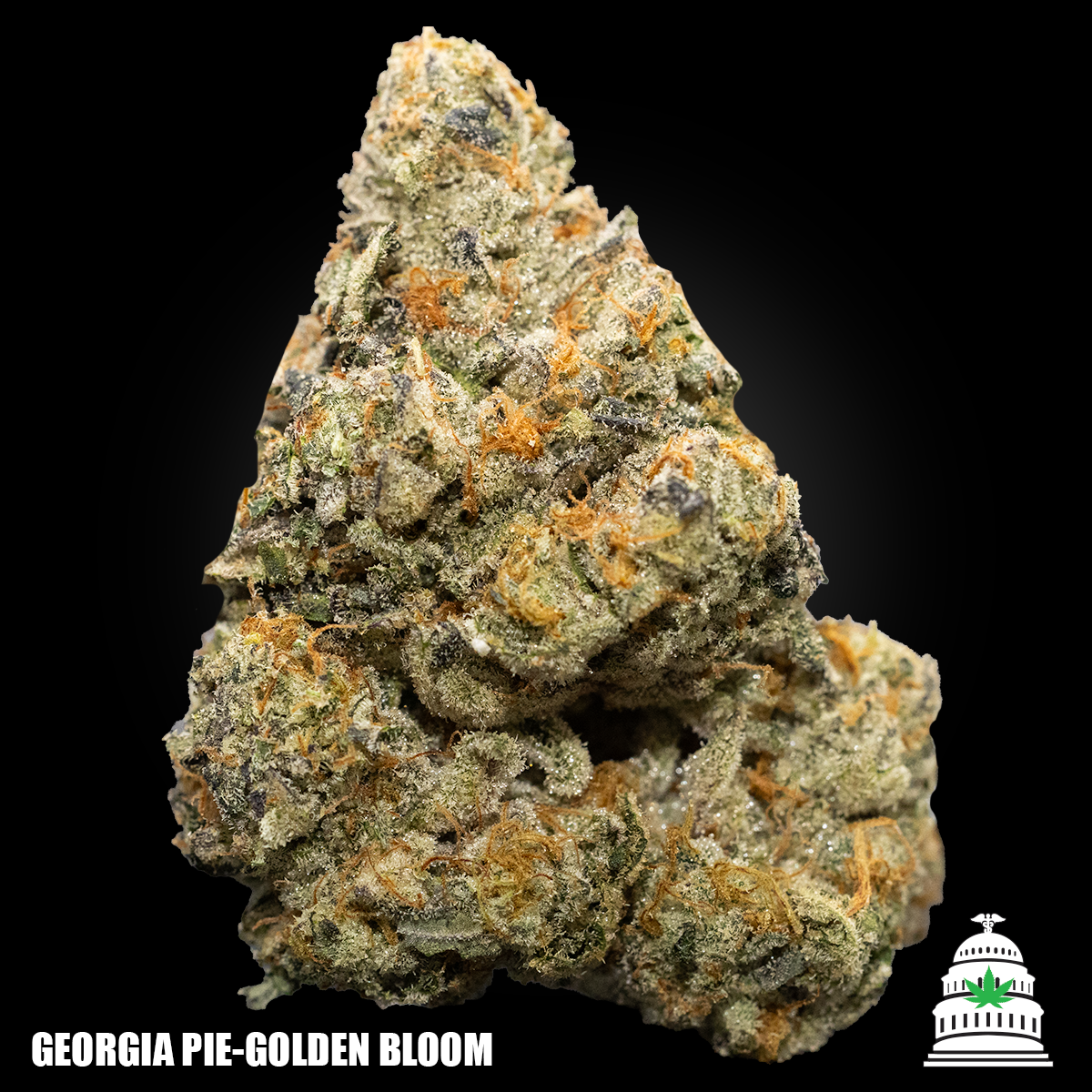 Photograph of product: Georgia Pie - Golden Bloom Flower - 7g