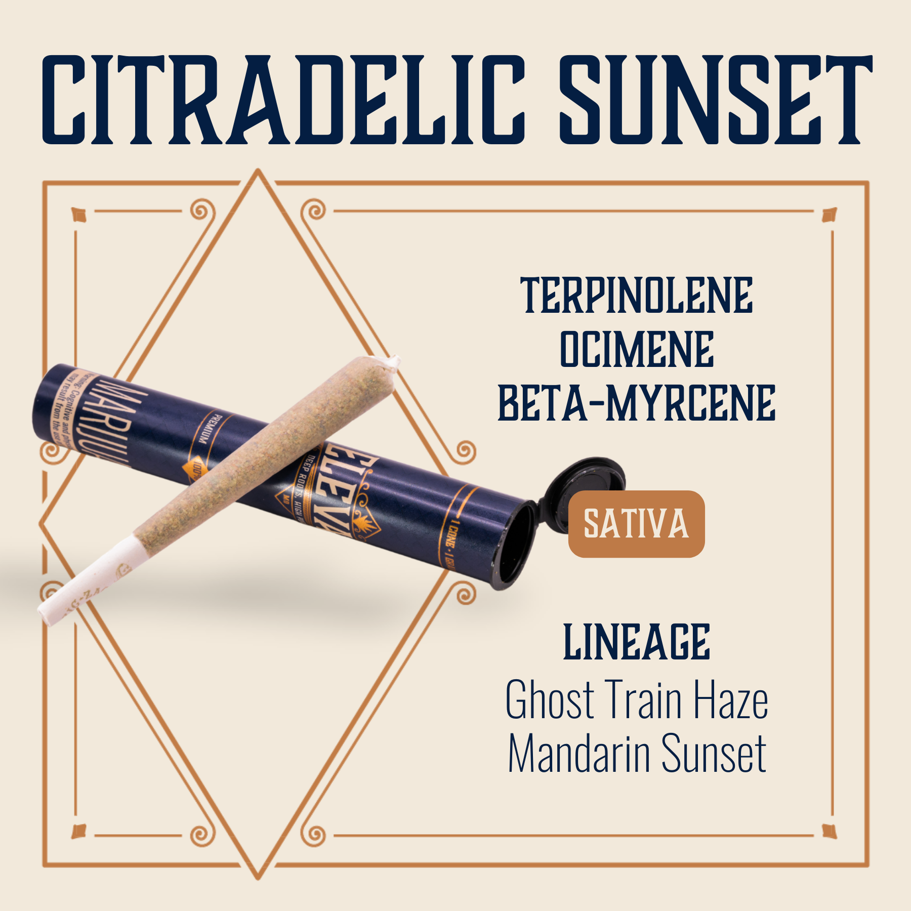 Photograph of product: Citradelic Sunset Pre-Roll | 1g