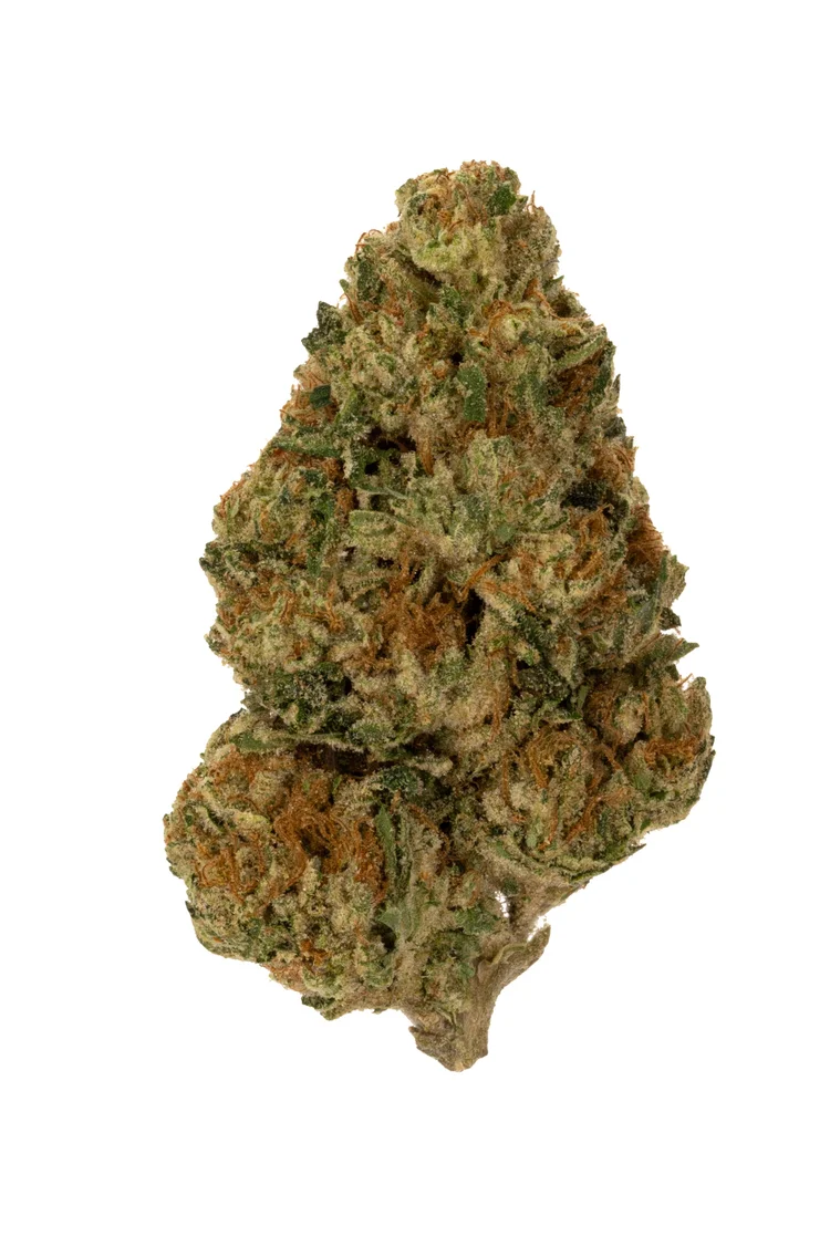 Photograph of product: ROLLING GREEN | JAR FLOWER | GELATO SHERBERT - 3.5g