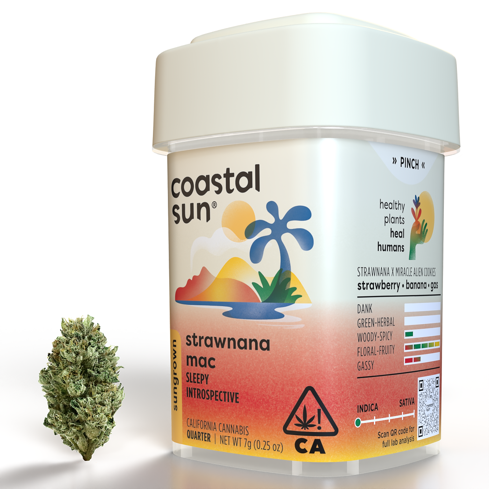 Photograph of product: Coastal Sun | Strawnana Mac - 7g