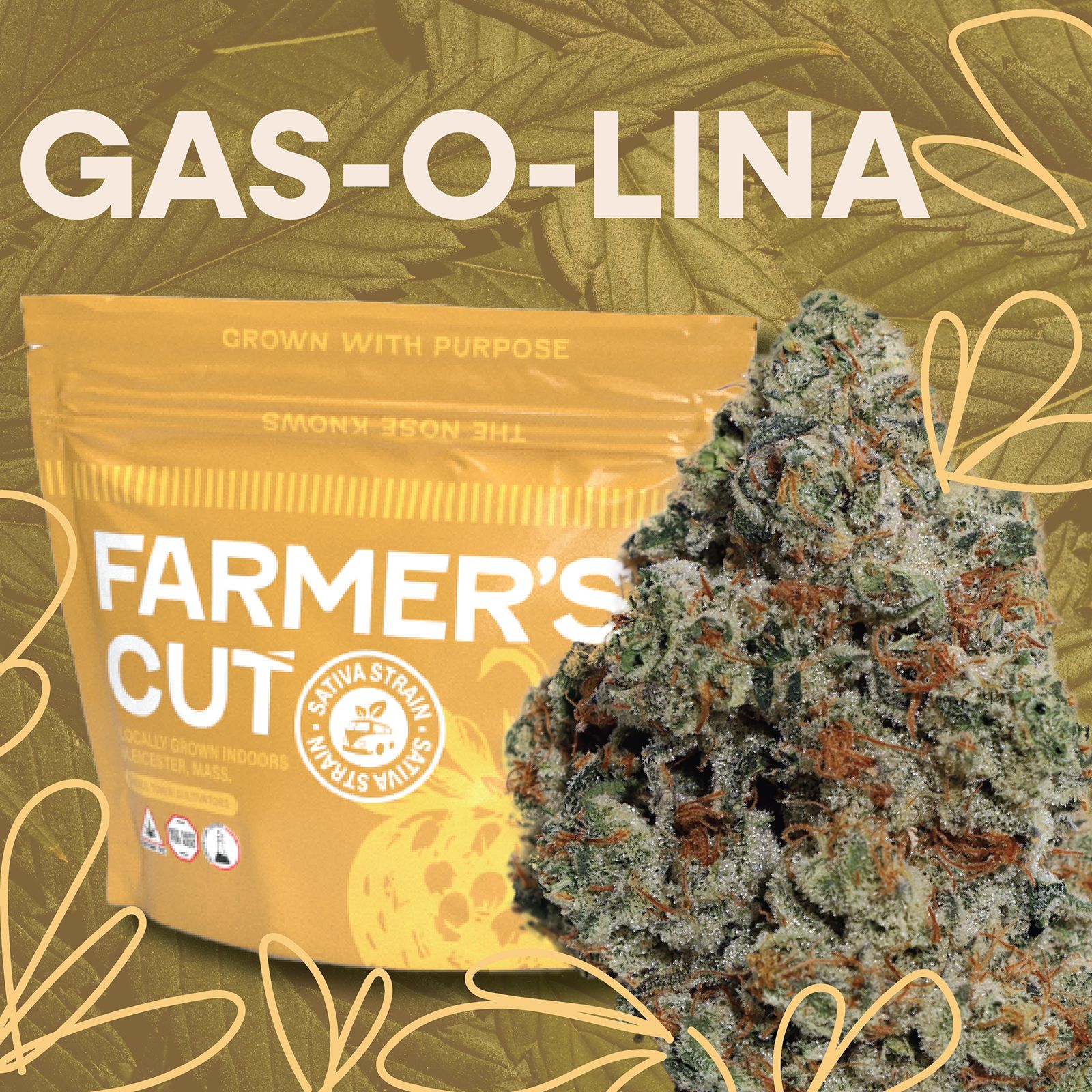 Photograph of product: Gas-O-Lina - 3.5g