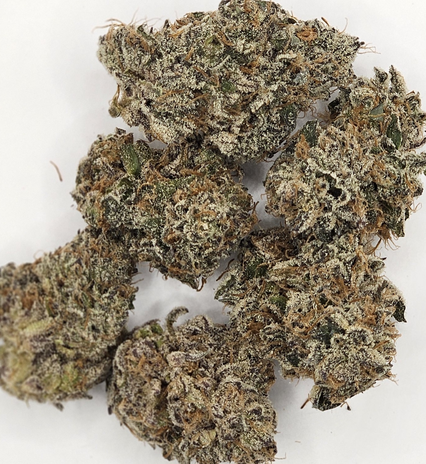 Photograph of product: Focus North - Str8 2 Hell - 28g
