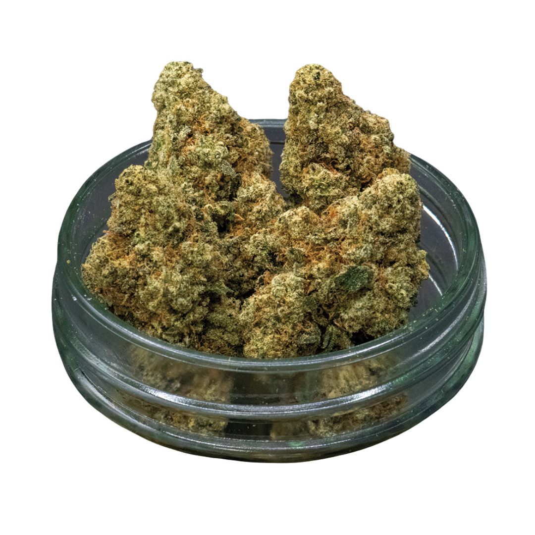 Photograph of product: Common Citizen | Lemon Bar Bulk Flower - 28g