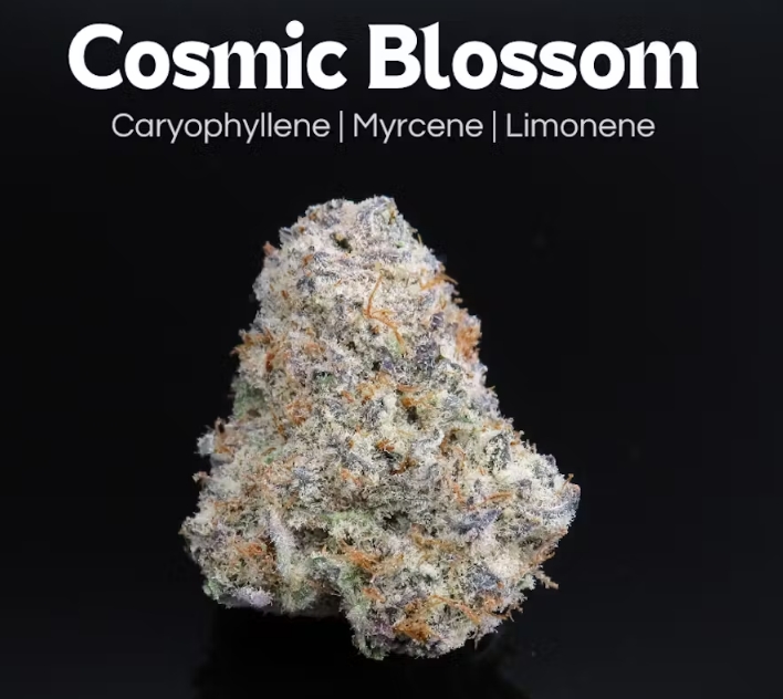 Photograph of product: Cosmic Blossom | 14.15g
