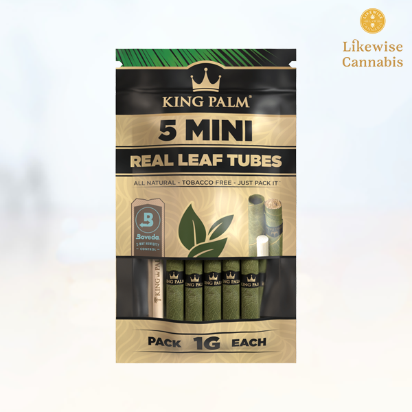 Photograph of product: 5-PACK KING PALM MINI