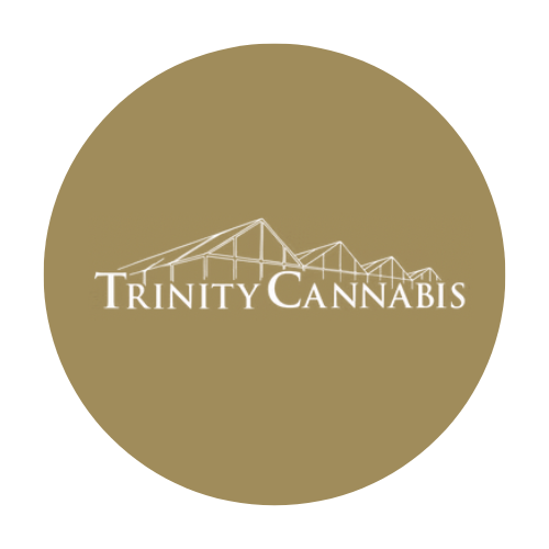 Photograph of product: Trinity Oui'd Sour Tangie Live Rosin 1g
