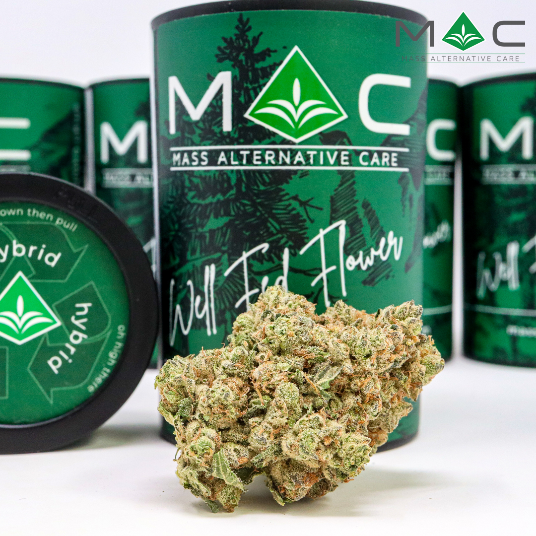 Photograph of Product: Juniper Jive 1/8 29.68% TAC 2.96% Terpenes - 7g