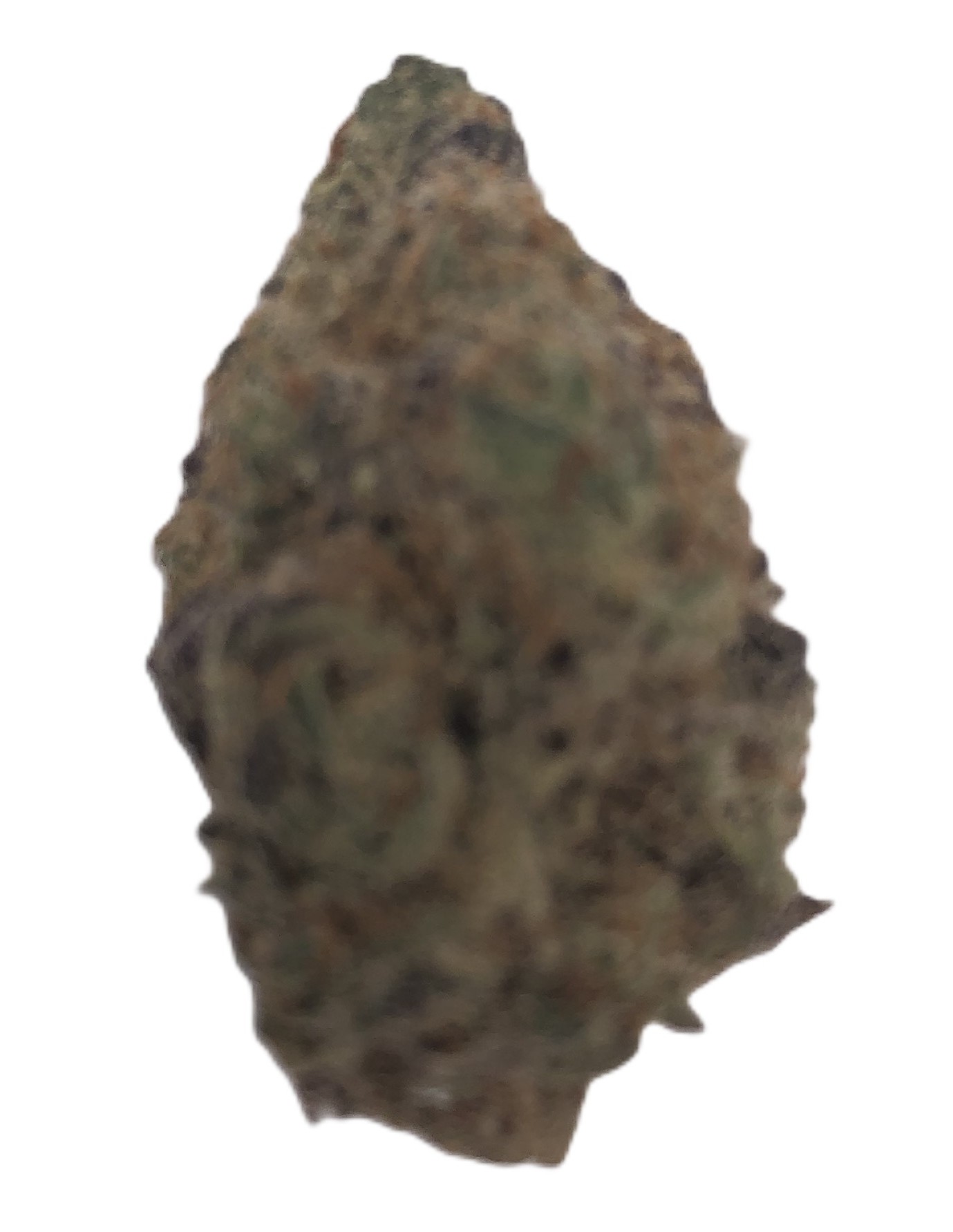 Photograph of product: Hecate Gardens Zelly Donut - 14g