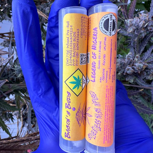 Photograph of product: Bootylicious au chocolat Infused Pre-Roll 2-pack | 1.5g