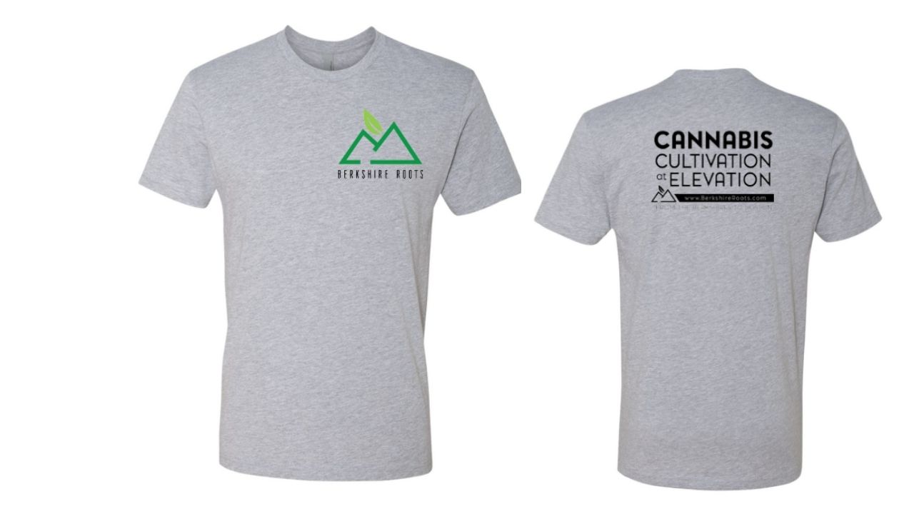 Photograph of product: Grey BR logo T-Shirt- X-Large