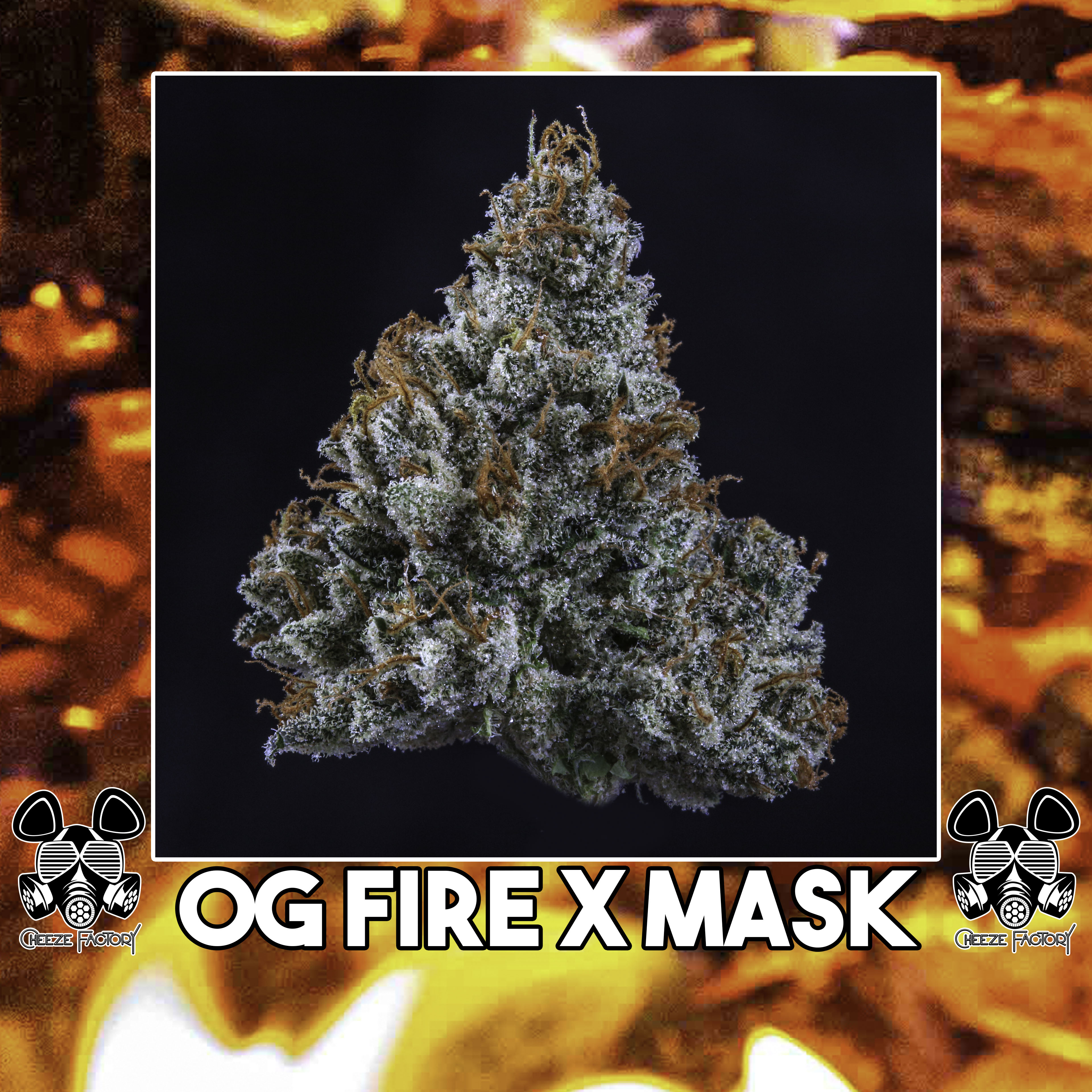 Photograph of product: OG Fire - 28g