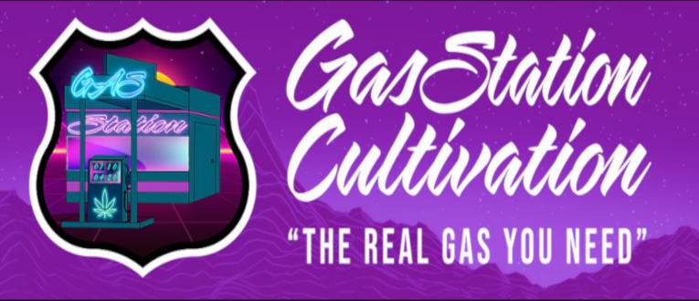 Photograph of product: Papaya Nectar | Gas Station Cultivation | Concentrate | Live Resin