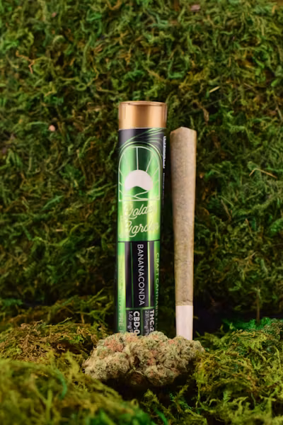 Photograph of product: Golden Garden Craft Oui'd Single PreRoll - BananaConda