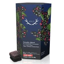 Photograph of product: Wyld: HIGH DOSE Wellness Gummies | Elderberry 5:1 TH-oui: 1000MG : 200mg CBN | 20pk