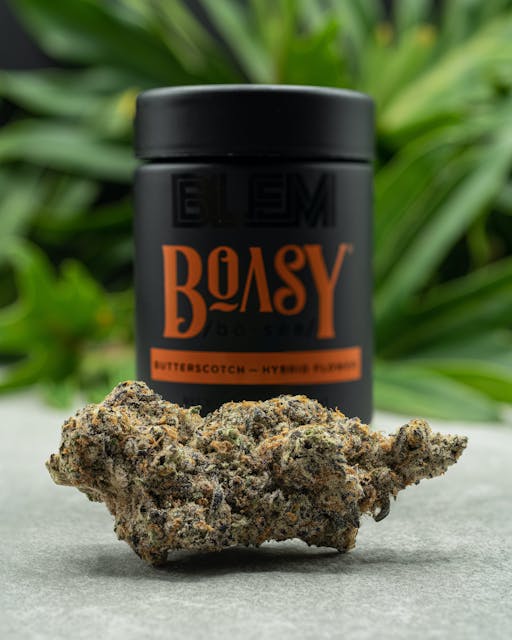 Photograph of Product: Boasy | 3.5G Flower