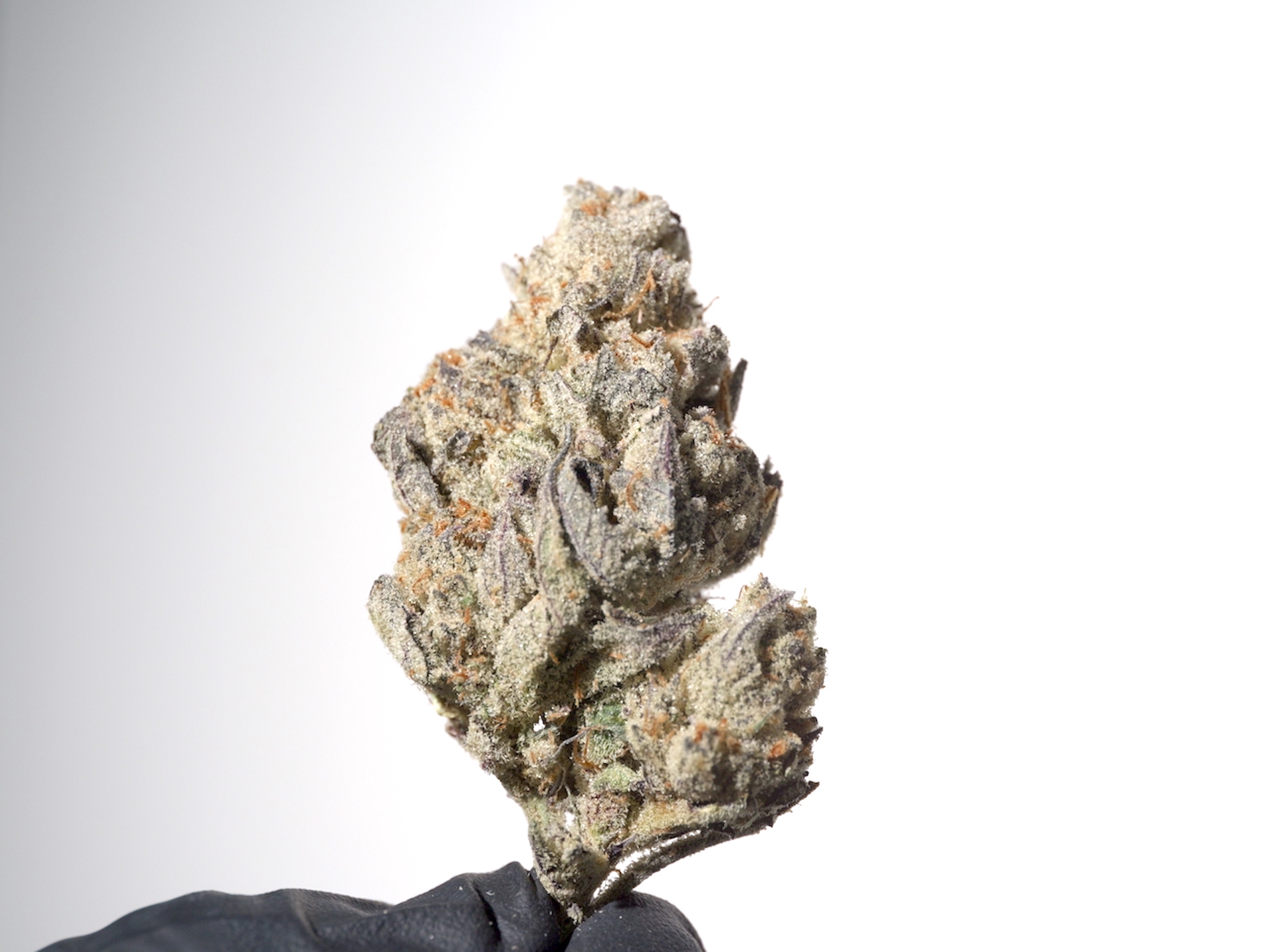 Photograph of product: Pure Bliss Farms - Strappleberry - Flower - Bulk - 28g