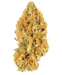 Photograph of product: GLP | Miss Poison 3.5g