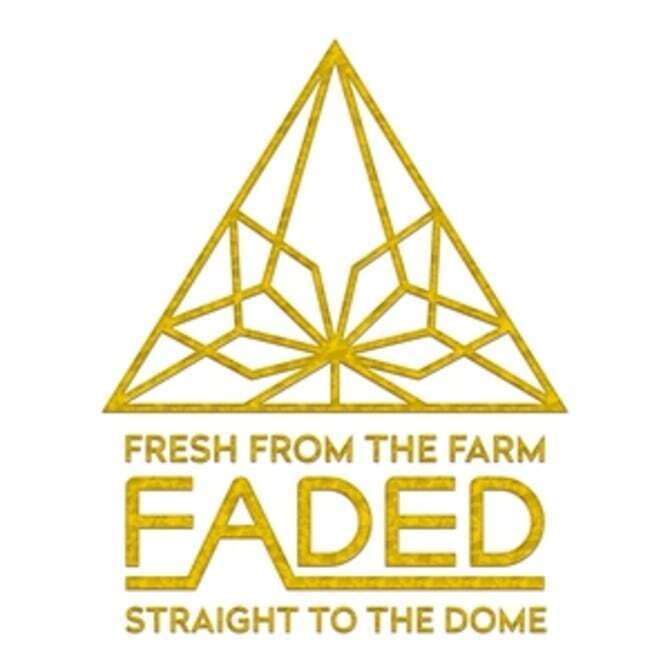 Photograph of product: Faded - Tokyo Snow