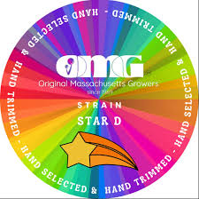 Photograph of product: Star D - 14g