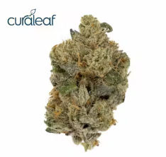 Photograph of product: Curaleaf Whole Flower 3.5g Slip (I) 00354