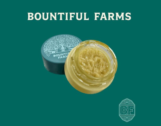 Photograph of product: Platinum Candy Pineapple | 1g | Live au chocolat Rosin