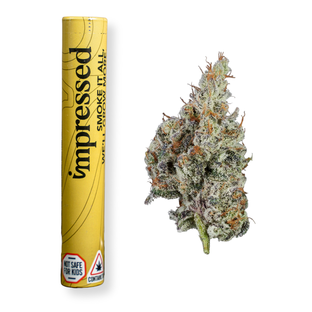 Photograph of product: K Dynamite 1pk (1g)