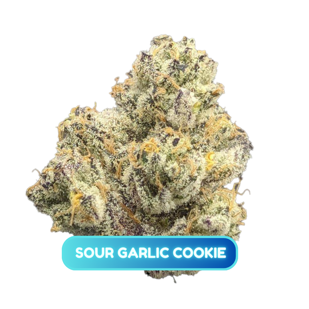 Photograph of product: Sour Garlic Cookie Flower - 3.5g