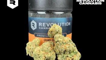 Photograph of product: Grandi Guava (REV) - 3.5g - Flower