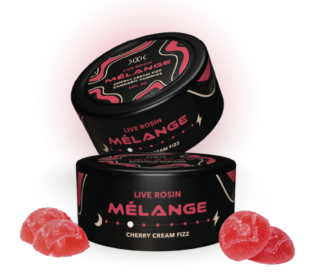 Photograph of product: Dixie Melange | Cherry Cream Fizz Live Rosin Gummies | 200mg