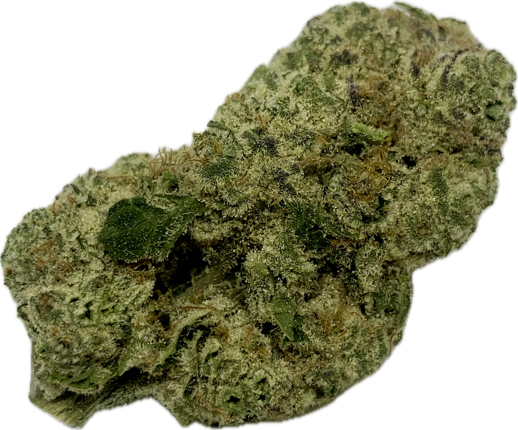 Photograph of product: Primo Danks - Triopical Runtz - Bulk Flower - 3.5g