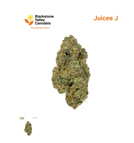 Photograph of product: Juicee J - 3.5g